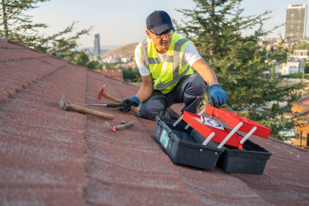 Best Storm Damage Siding Repair  in Blackhawk, SD